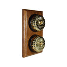 Switch to Wood's Dolly Light Switch Fluted Dome - 2 Gang Vertical Polished Brass in Medium Oak 