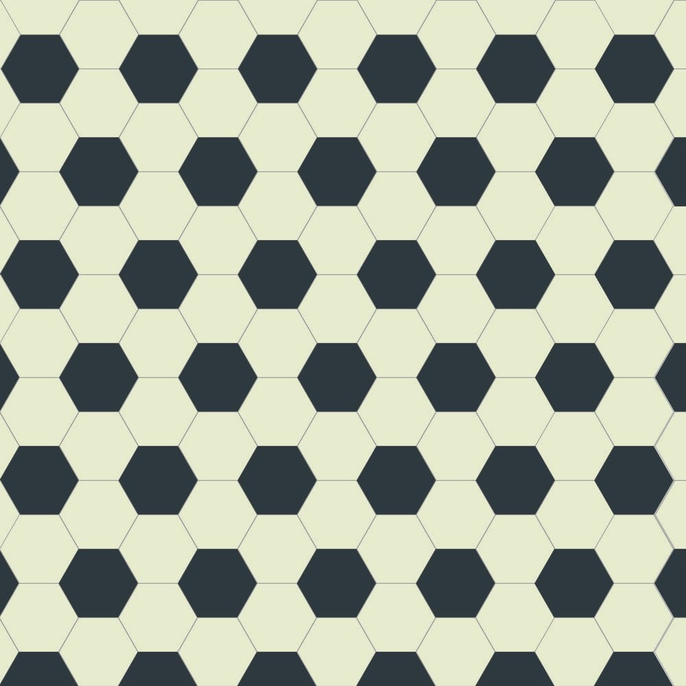 Victorian hexagonal tile pattern with alternating white and black hexagons in a geometric grid.  