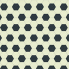 Victorian hexagonal tile pattern with alternating white and black hexagons in a geometric grid.  