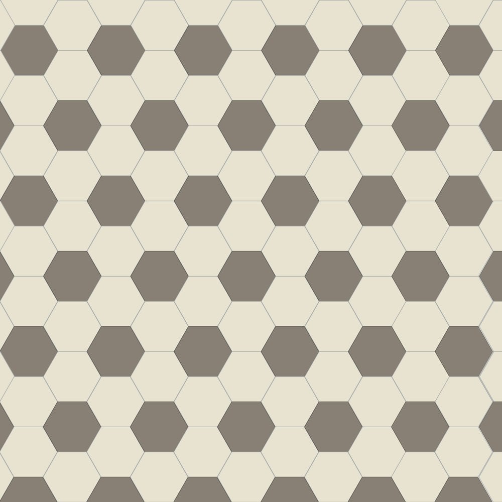 Victorian hexagonal tile pattern with alternating grey and ivory-white tiles in a honeycomb design.  