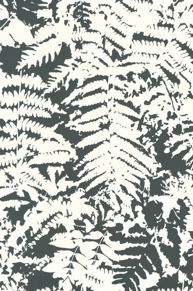 Little Greene's Fern Wallpaper in Off Black