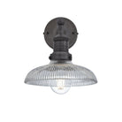 Industrial-style pendant light with a glass dome with a pewter holder.