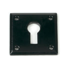 From The Anvil's Black Avon Escutcheon