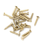 From The Anvil's Polished Brass Countersunk Screws (25)