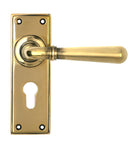 From The Anvil's Aged Brass Newbury Lever Euro Lock Set