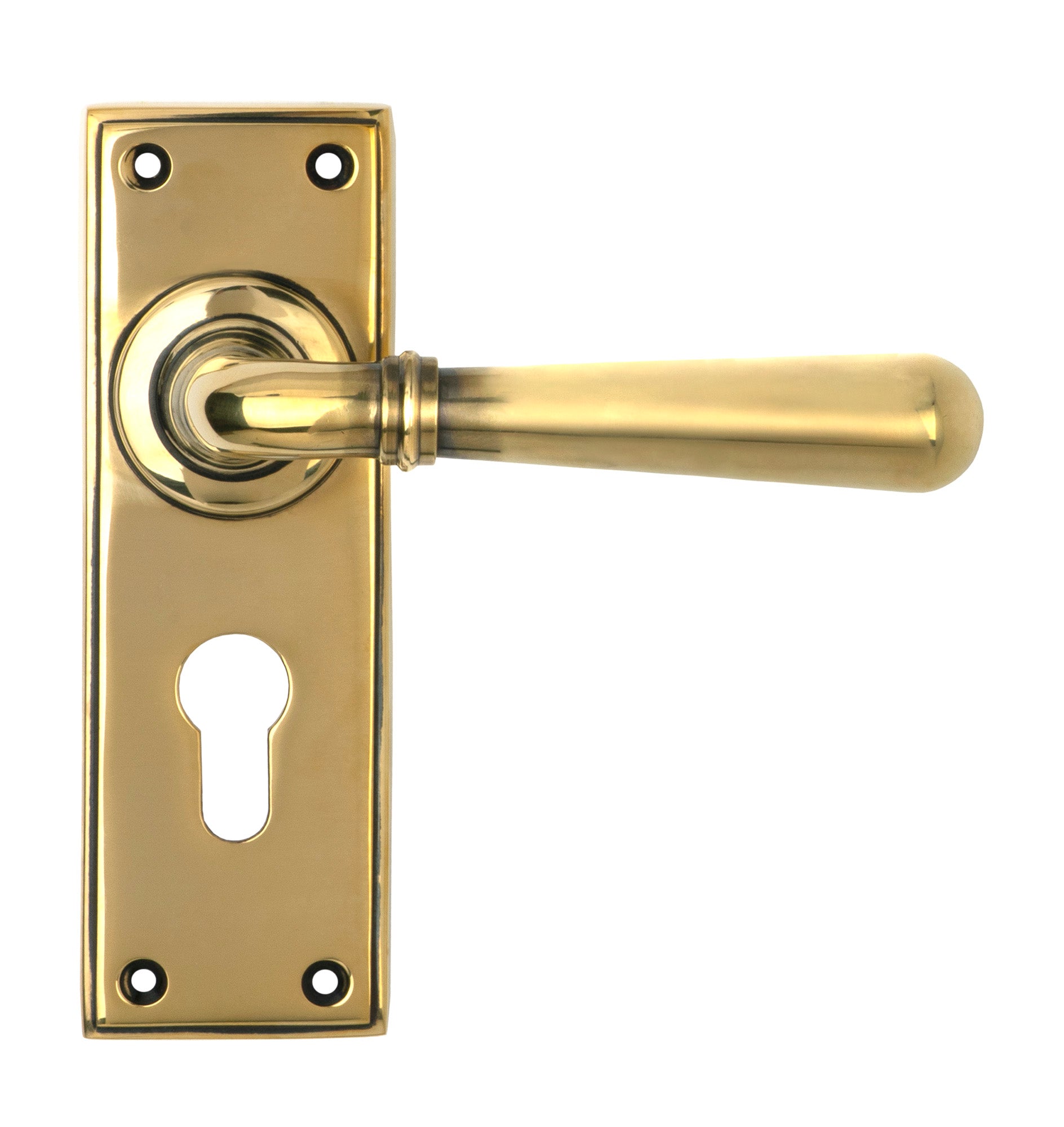 From The Anvil's Aged Brass Newbury Lever Euro Lock Set