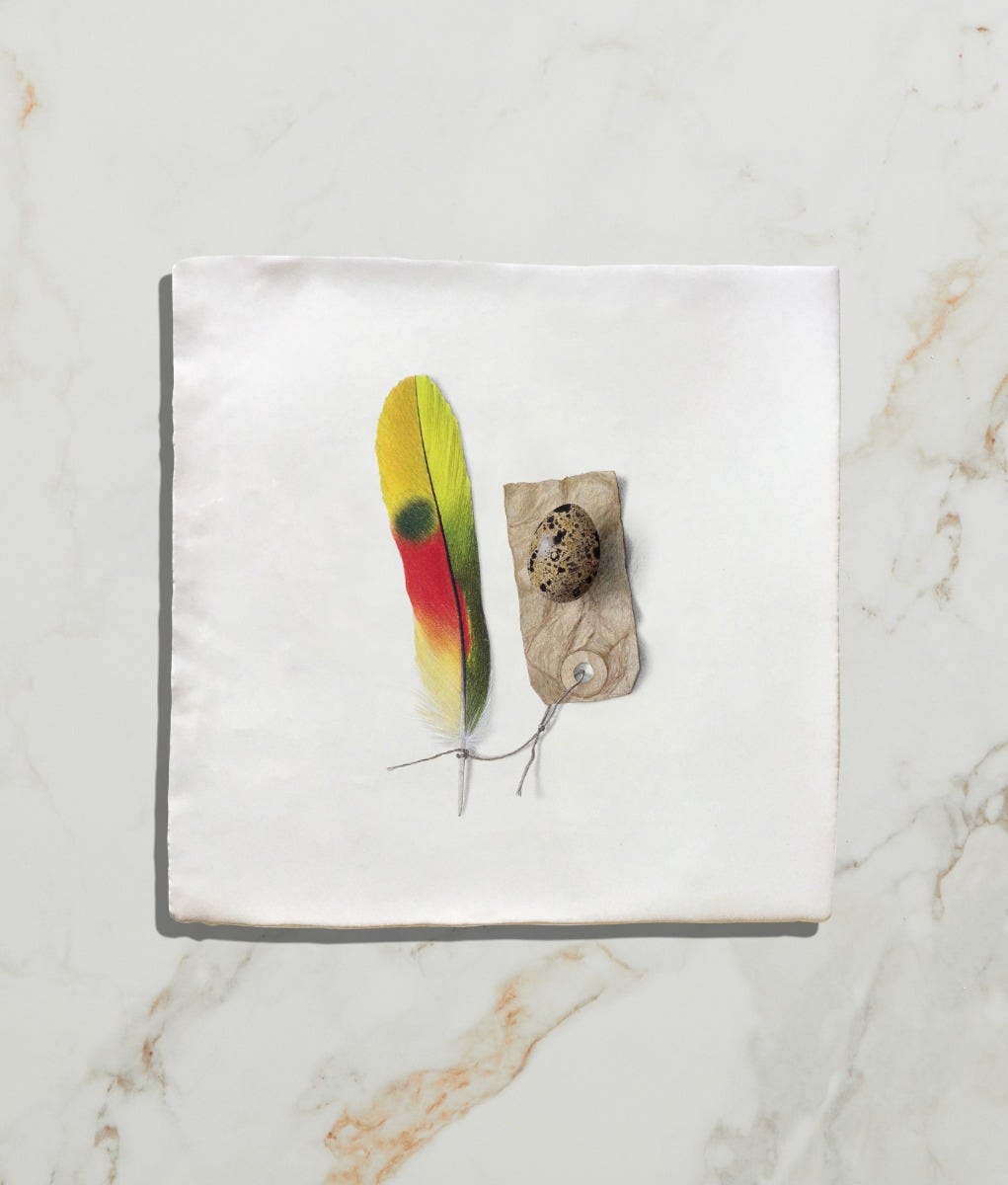 Ca'Pietra's Menagerie Ceramic by Michael Angove Tiles
