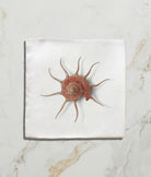 Ca'Pietra's Menagerie Ceramic by Michael Angove Tiles