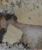 Ca'Pietra's Antarctica Quartzite Slab - Bespoke Tiles