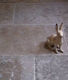 Ca'Pietra's Aquitaine Limestone Seasoned Finish Tiles