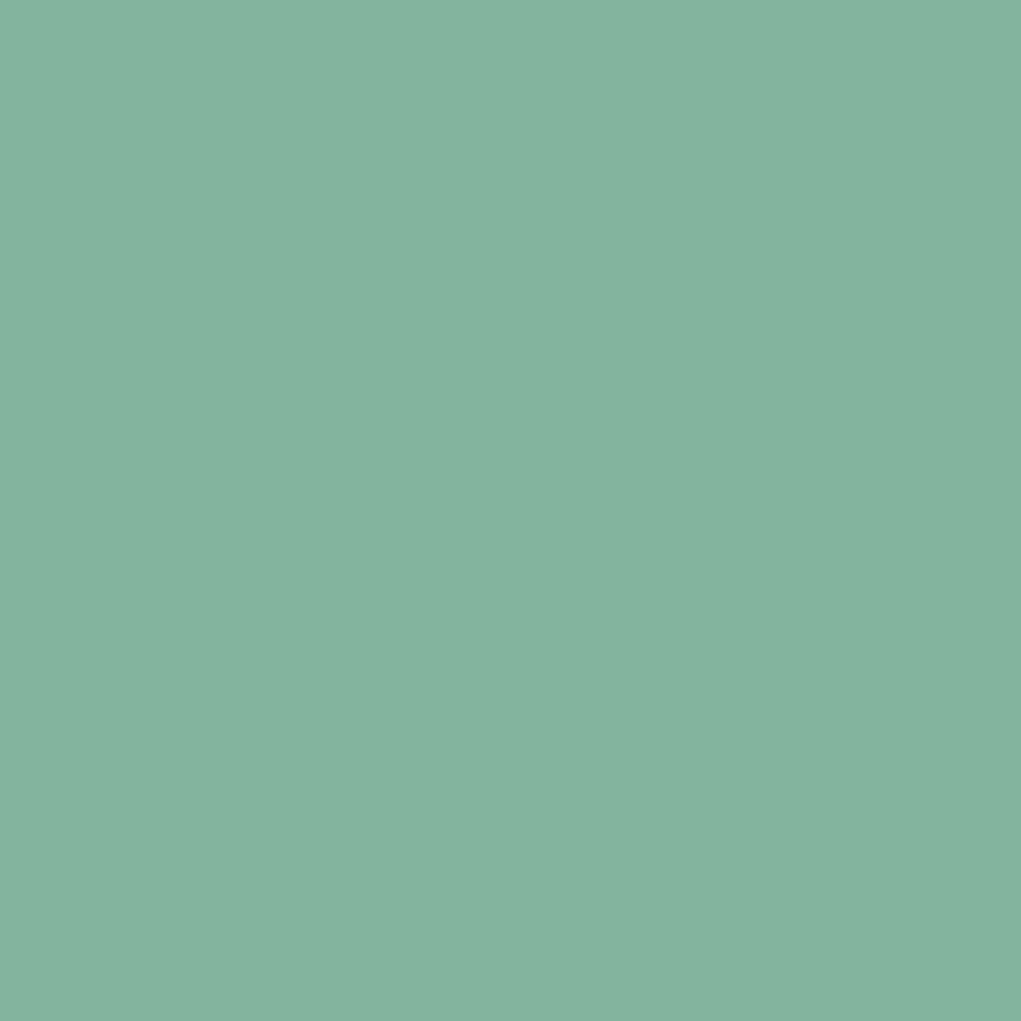 Farrow and Ball's Arsenic No.214