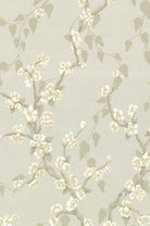 Little Greene's Sakura Wallpaper in Fawn