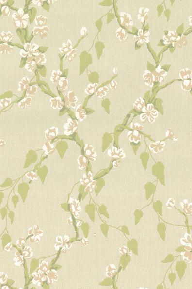 Little Greene's Sakura Wallpaper in Pomme