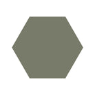 Equilateral Hexagon Tile in Australian Green