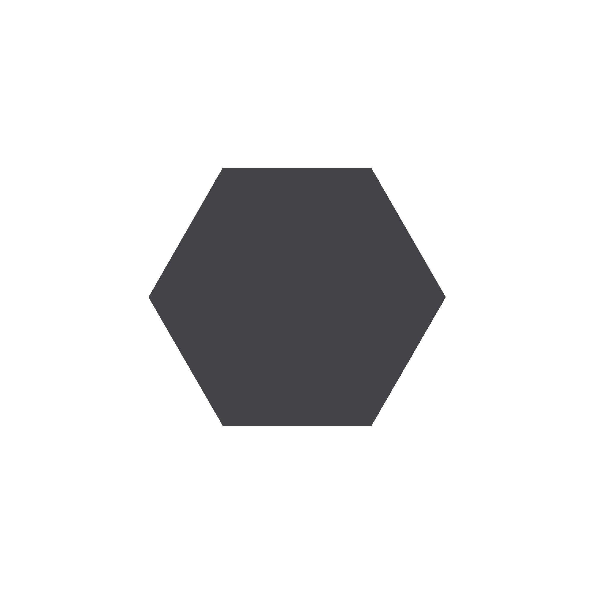Equilateral Hexagon Tile in Black