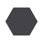 Equilateral Hexagon Tile in Black