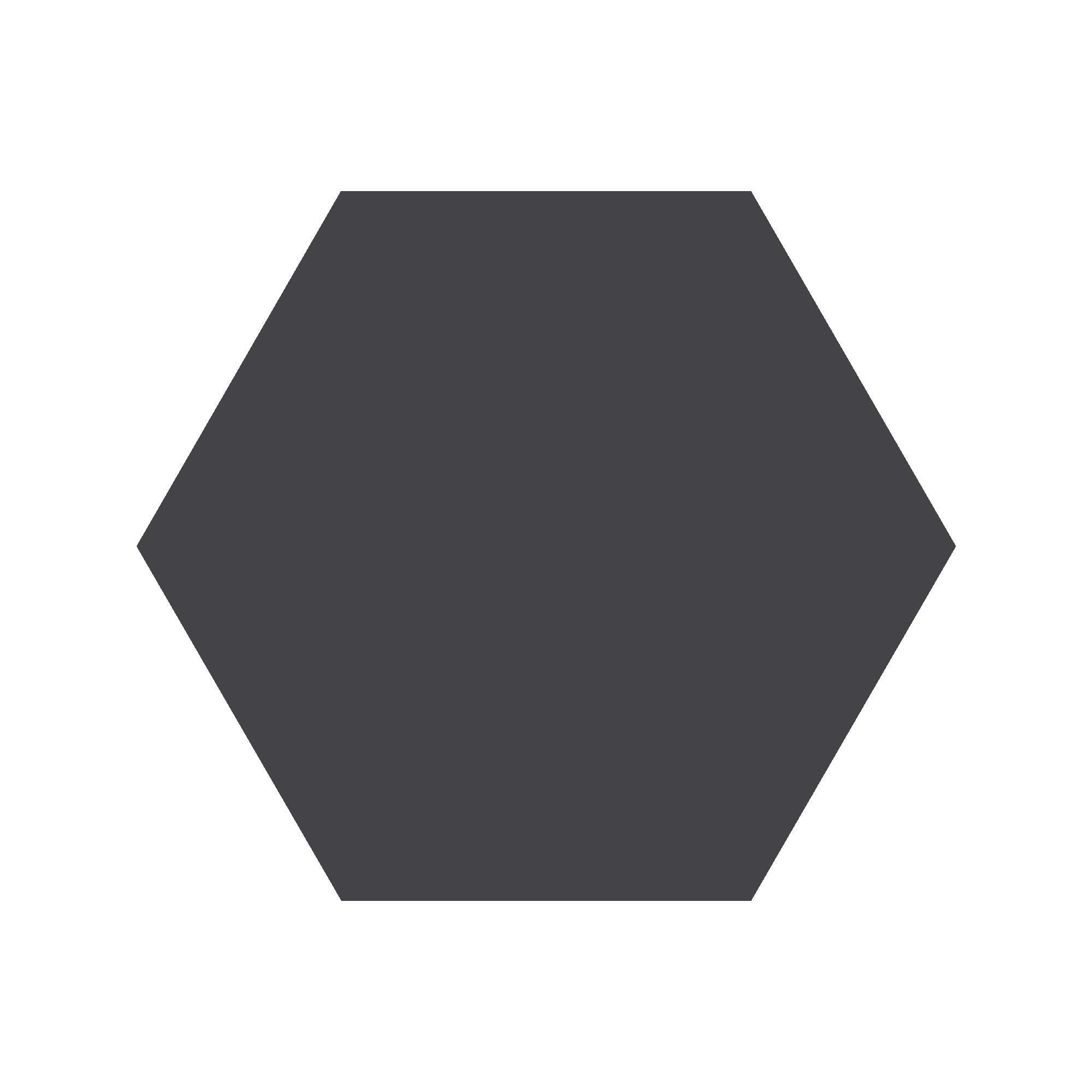 Equilateral Hexagon Tile in Black