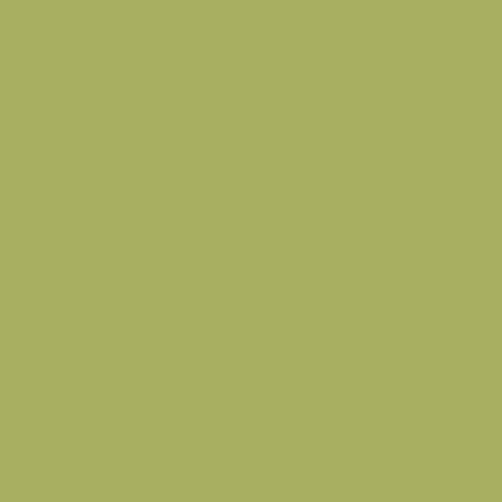 Little Greene's Boxington® No.84
