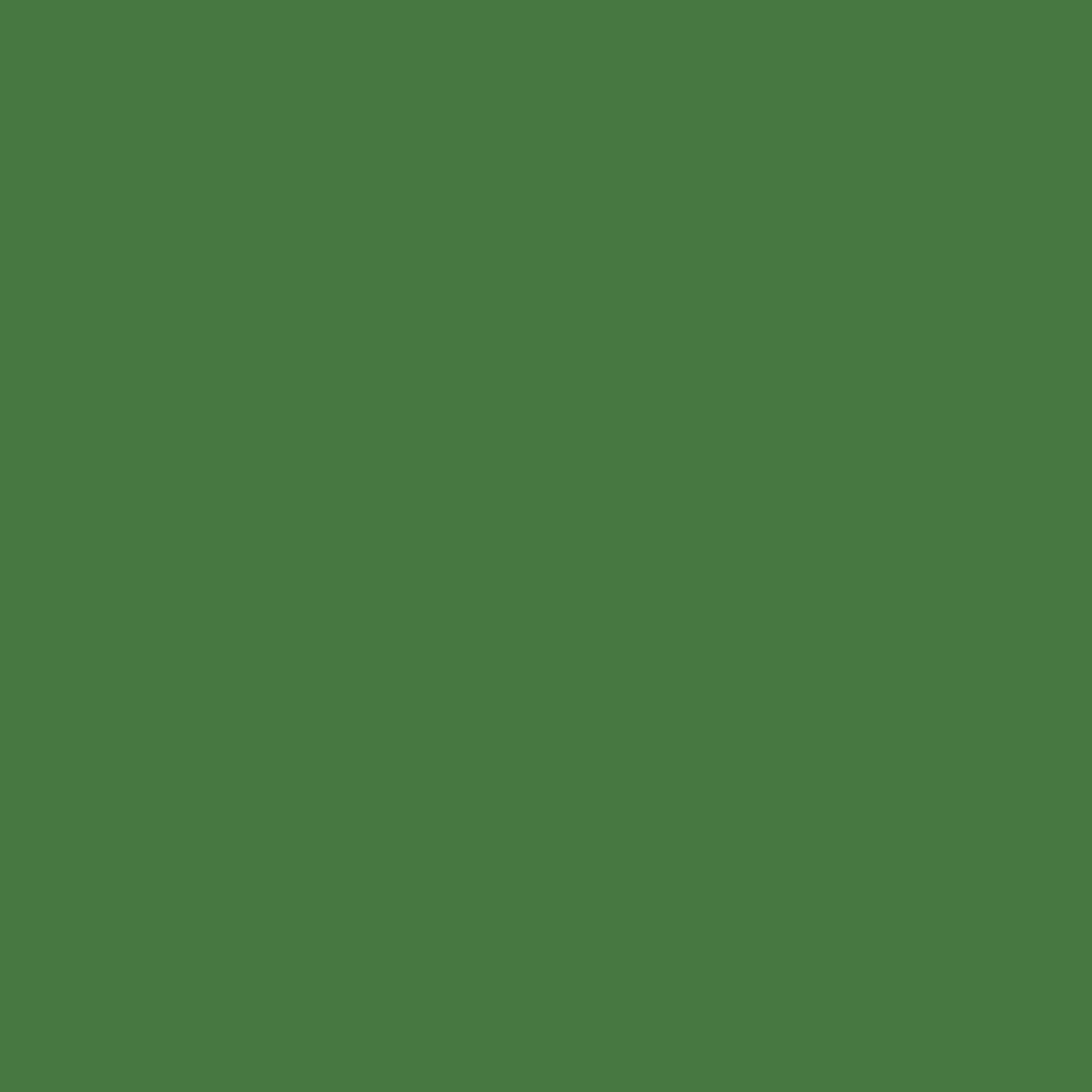 Little Greene's A bright green paint colour frequently used on external wood and ironwork and now best known for its use on lawnmowers. When used in a garden scheme, it blends beautifully with its natural surroundings. Paint