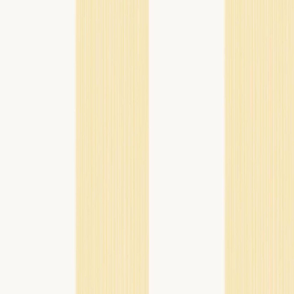 Farrow and Ball's Broad Stripe Wallpaper