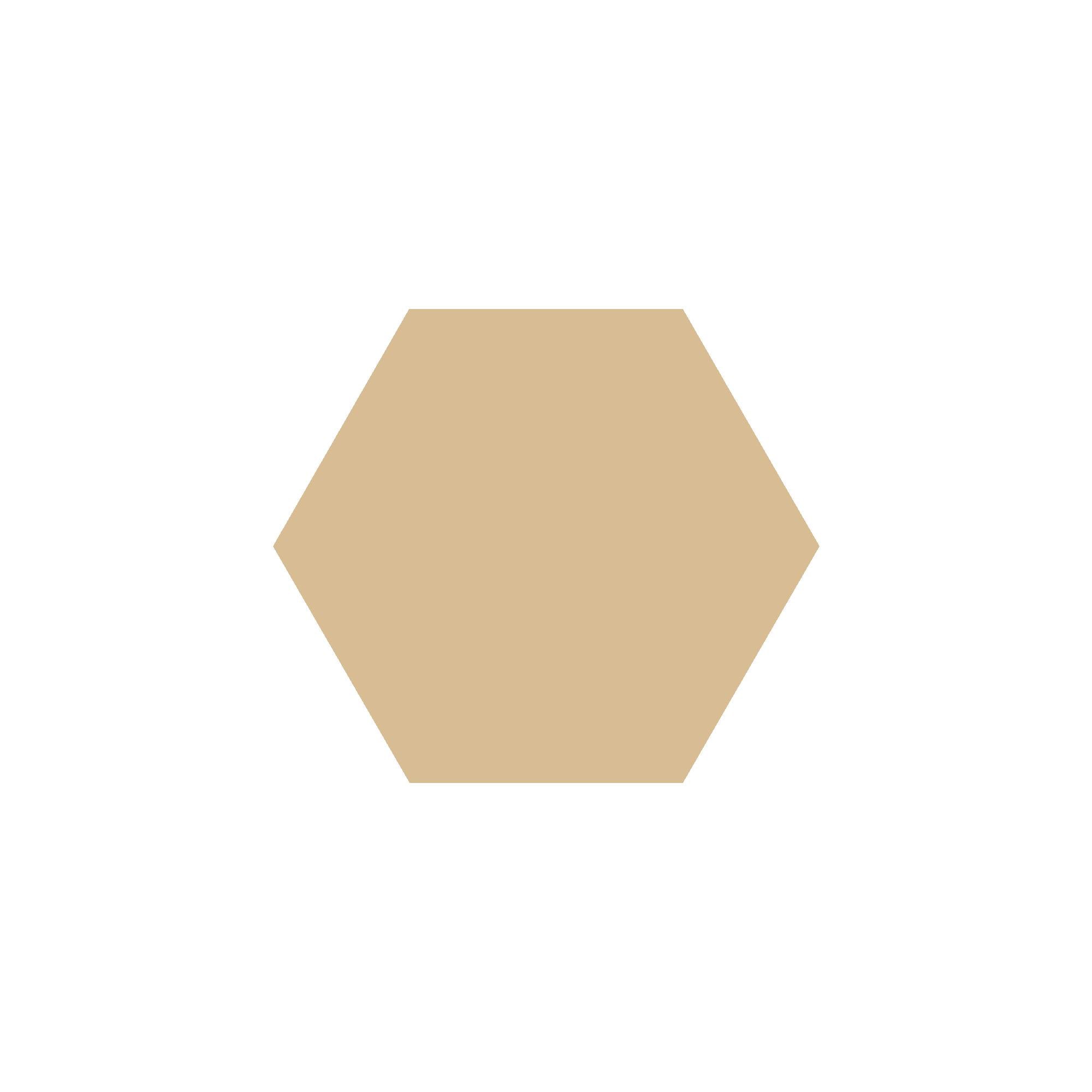 Equilateral Hexagon Tile in Cognac