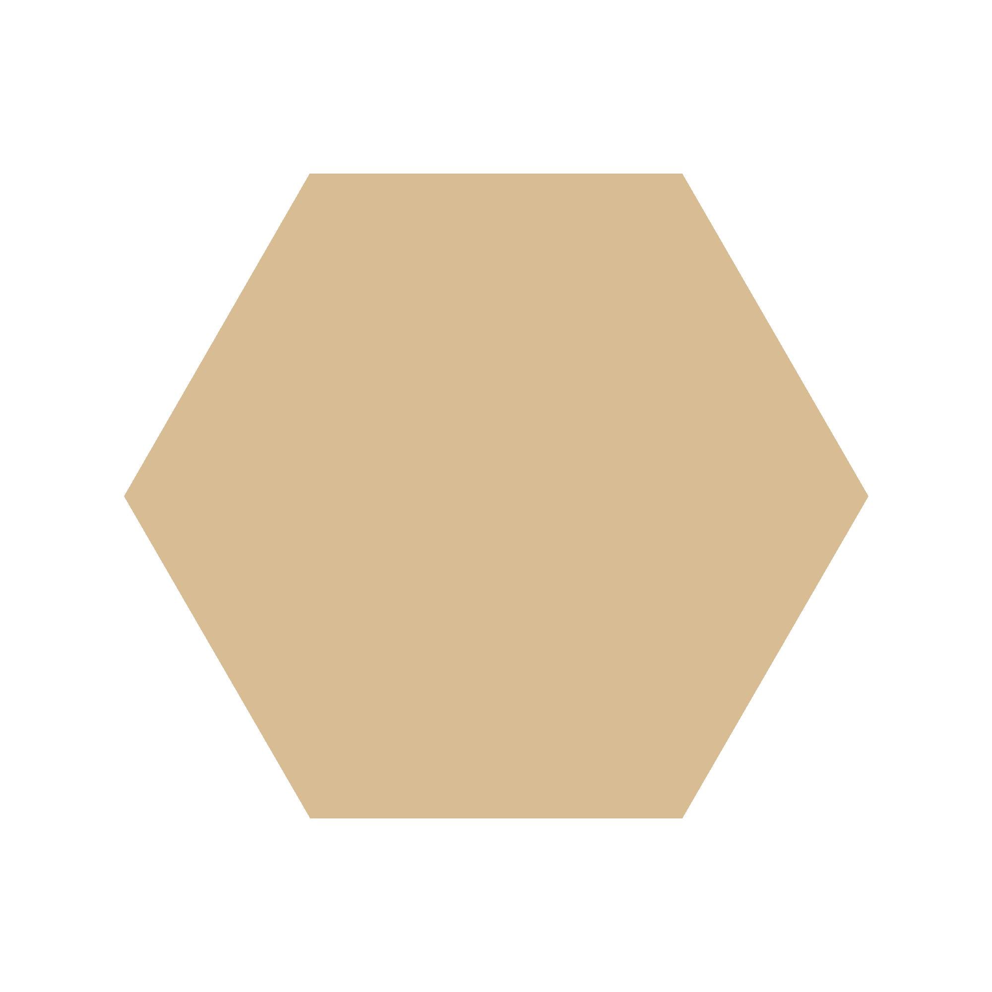Equilateral Hexagon Tile in Cognac