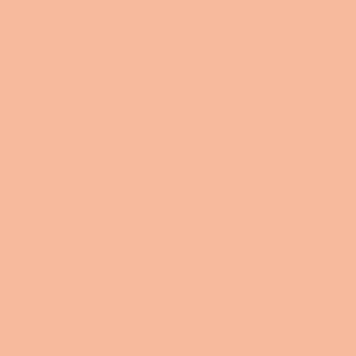 Conche™ No. 20