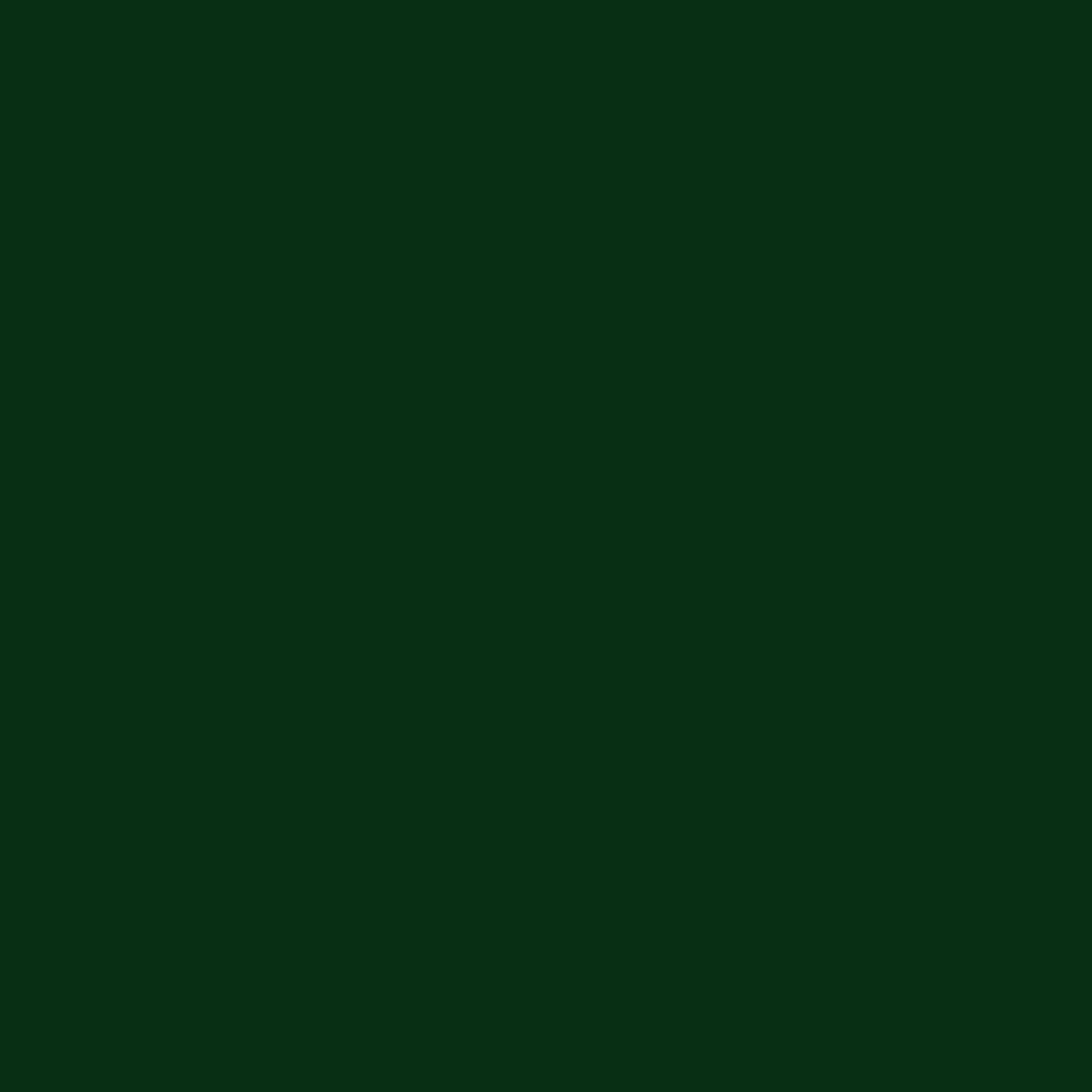 Little Greene's Dark Brunswick Green™ No.88