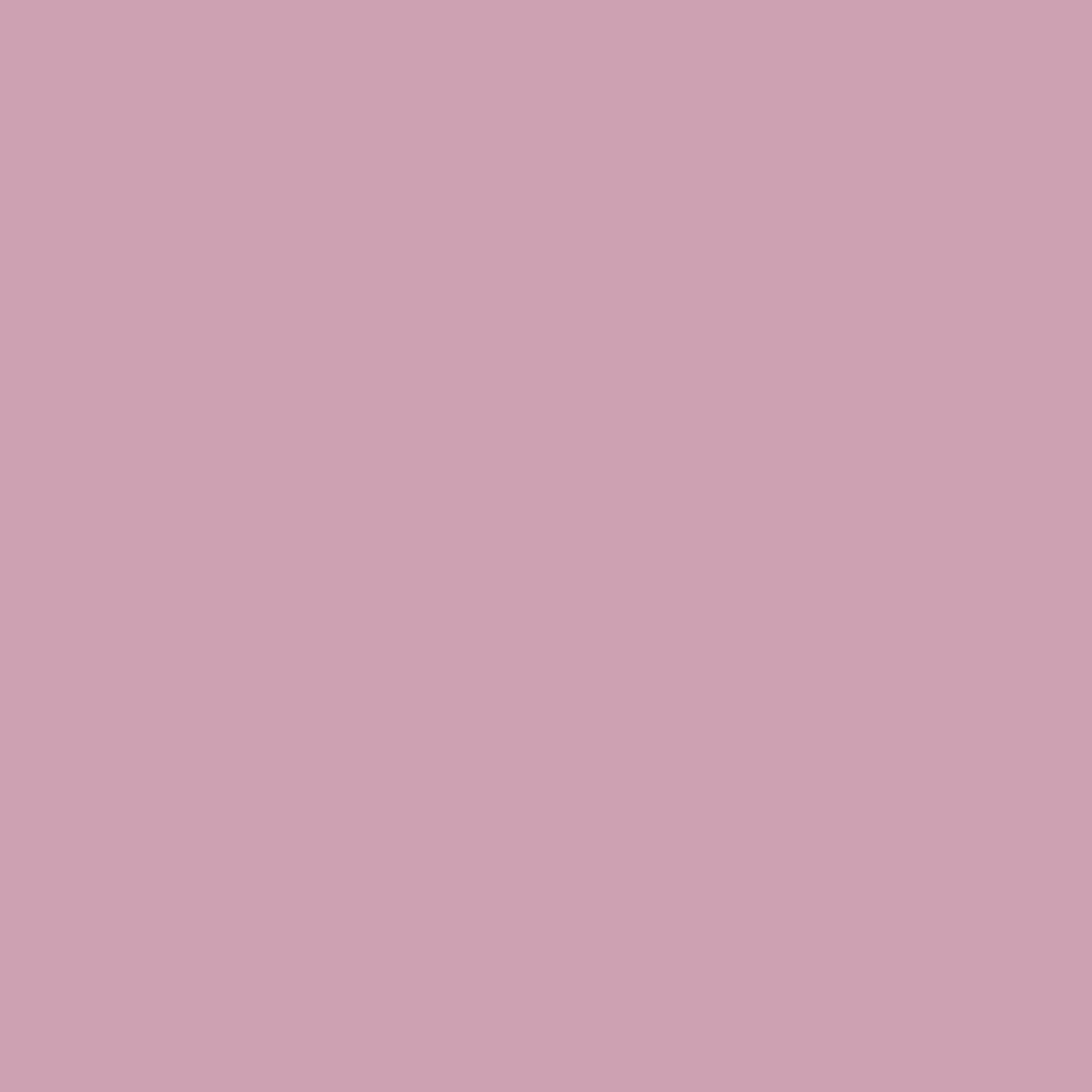 Little Greene's Debutant is a mid shade of lilac, which, during the 70s, was introduced as a colour for living areas as well as bedrooms. Pair with Chemise as a related white or choose Adventurer for a darker colour highlight. Paint