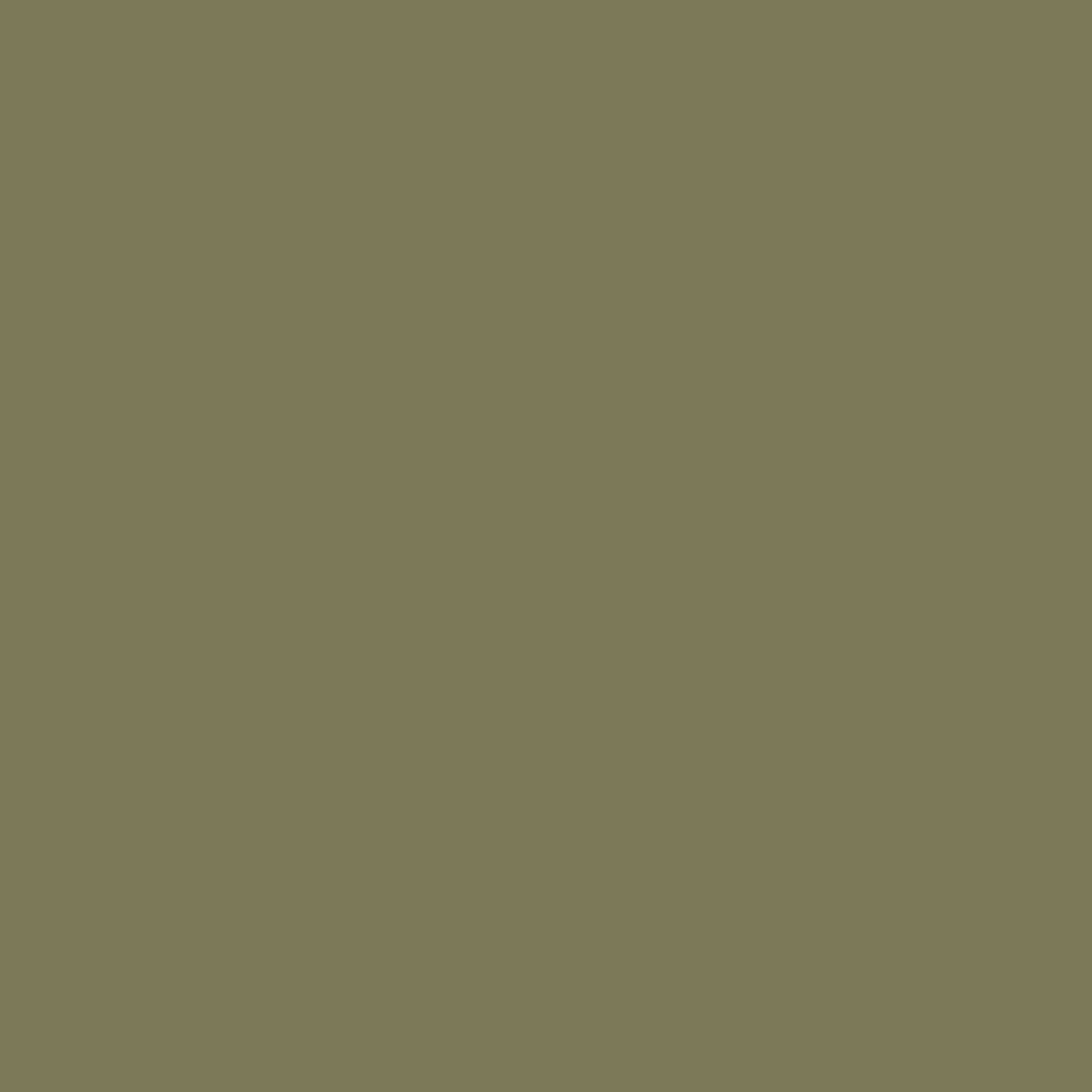Farrow and Ball's Dibber No.312