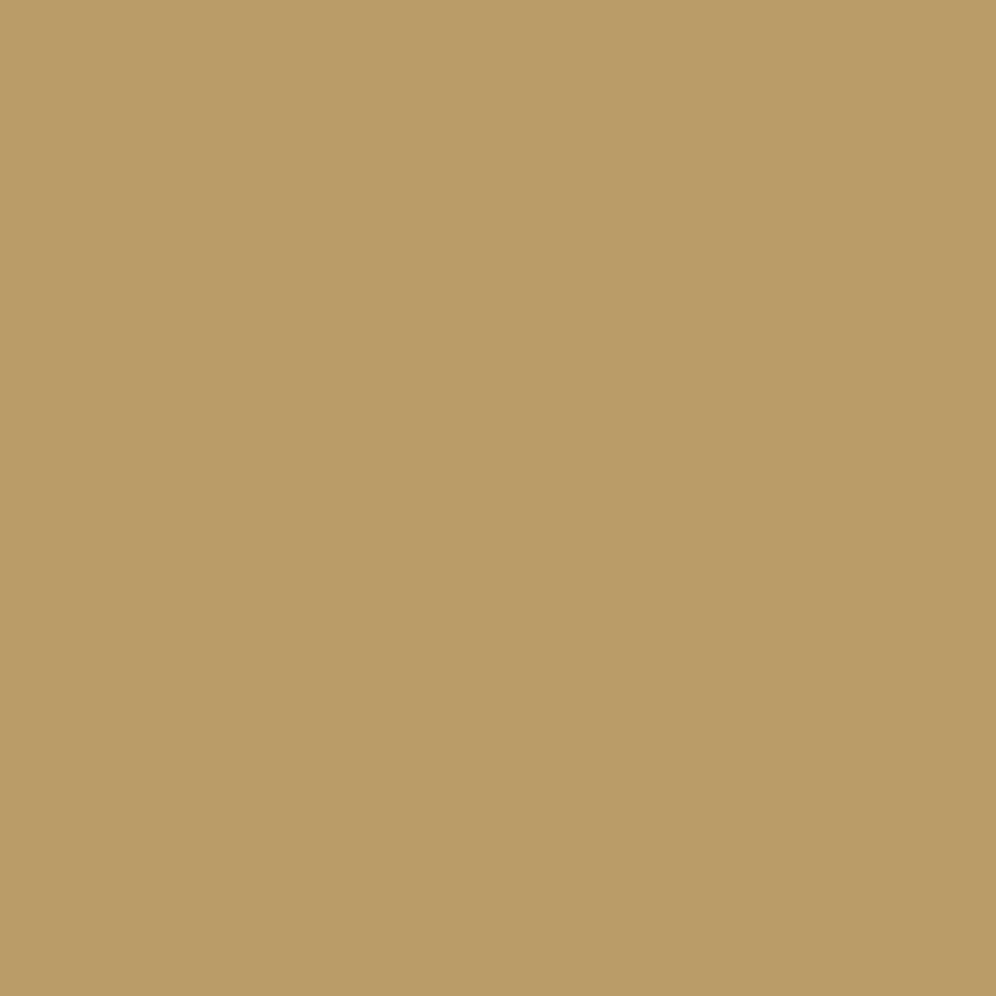 Farrow and Ball's Duster No.319