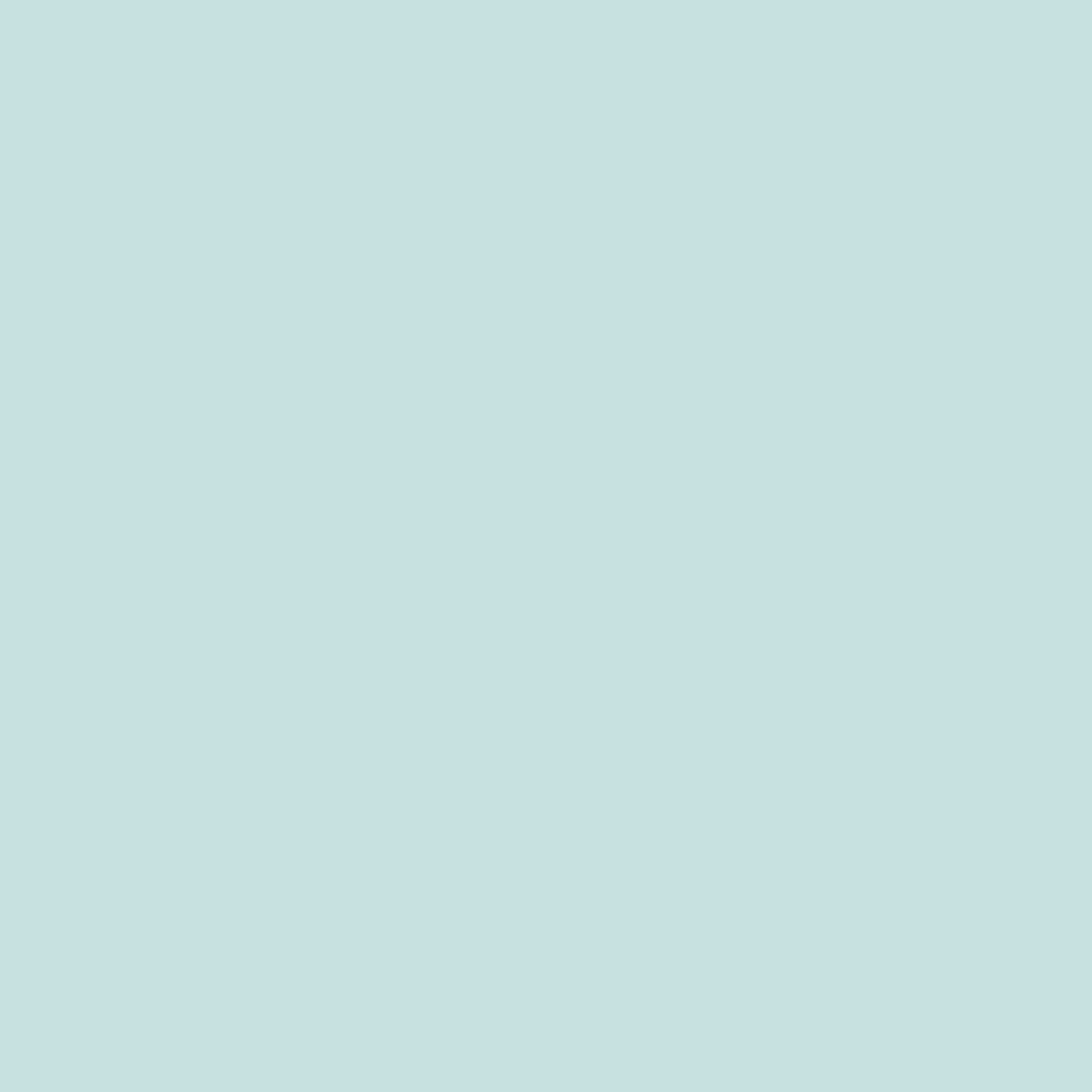 Little Greene's Gentle Sky is a pale blue paint, a popular choice for areas of rest such as bedrooms or quiet reading nooks. A blue of cleanliness and purity, this calming shade can be used with a contrasting burnt orange for a stylish scheme. Or pair with a pure white to create a cool celestial inspired look. Paint