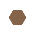 Equilateral Hexagon Tile in Havana