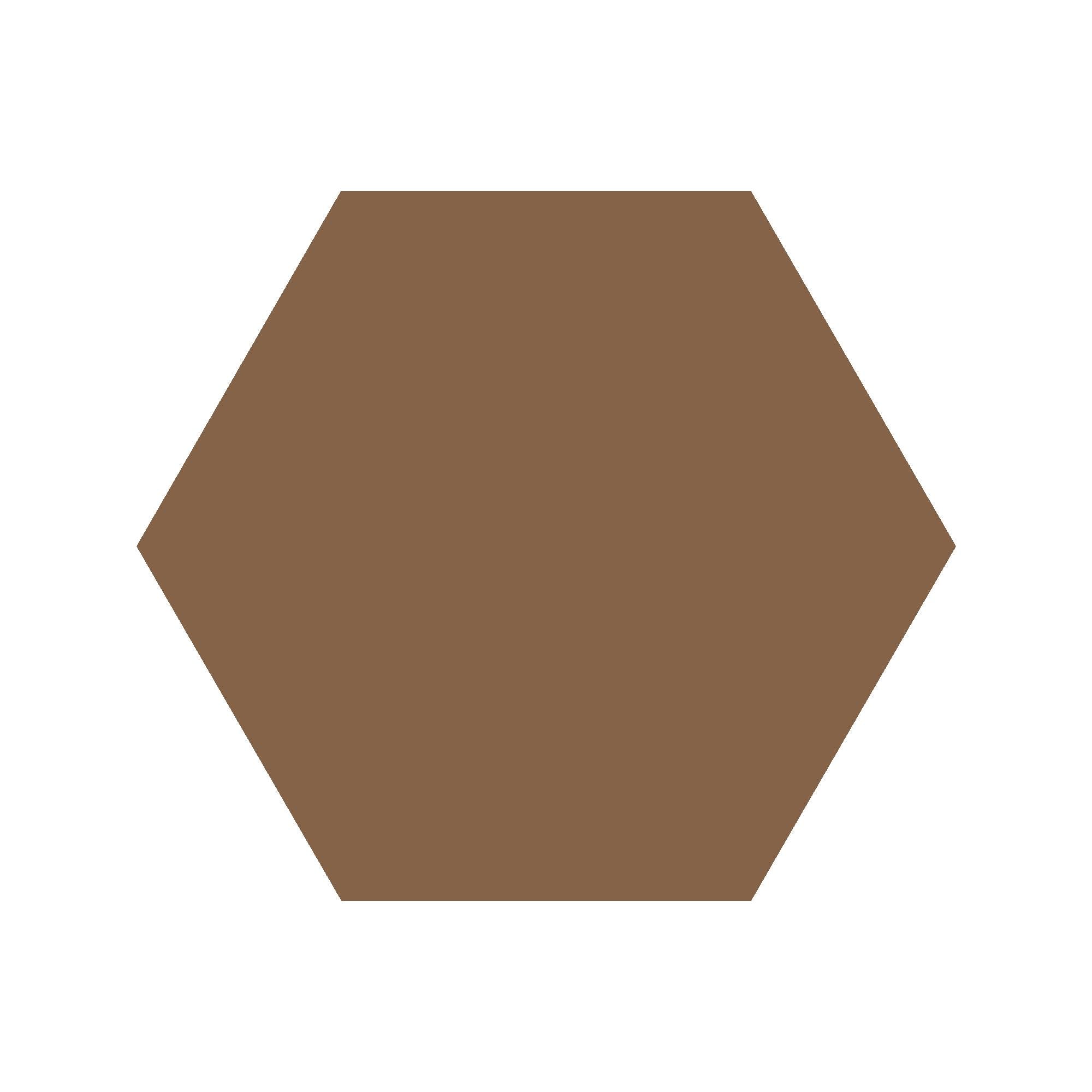 Equilateral Hexagon Tile in Havana