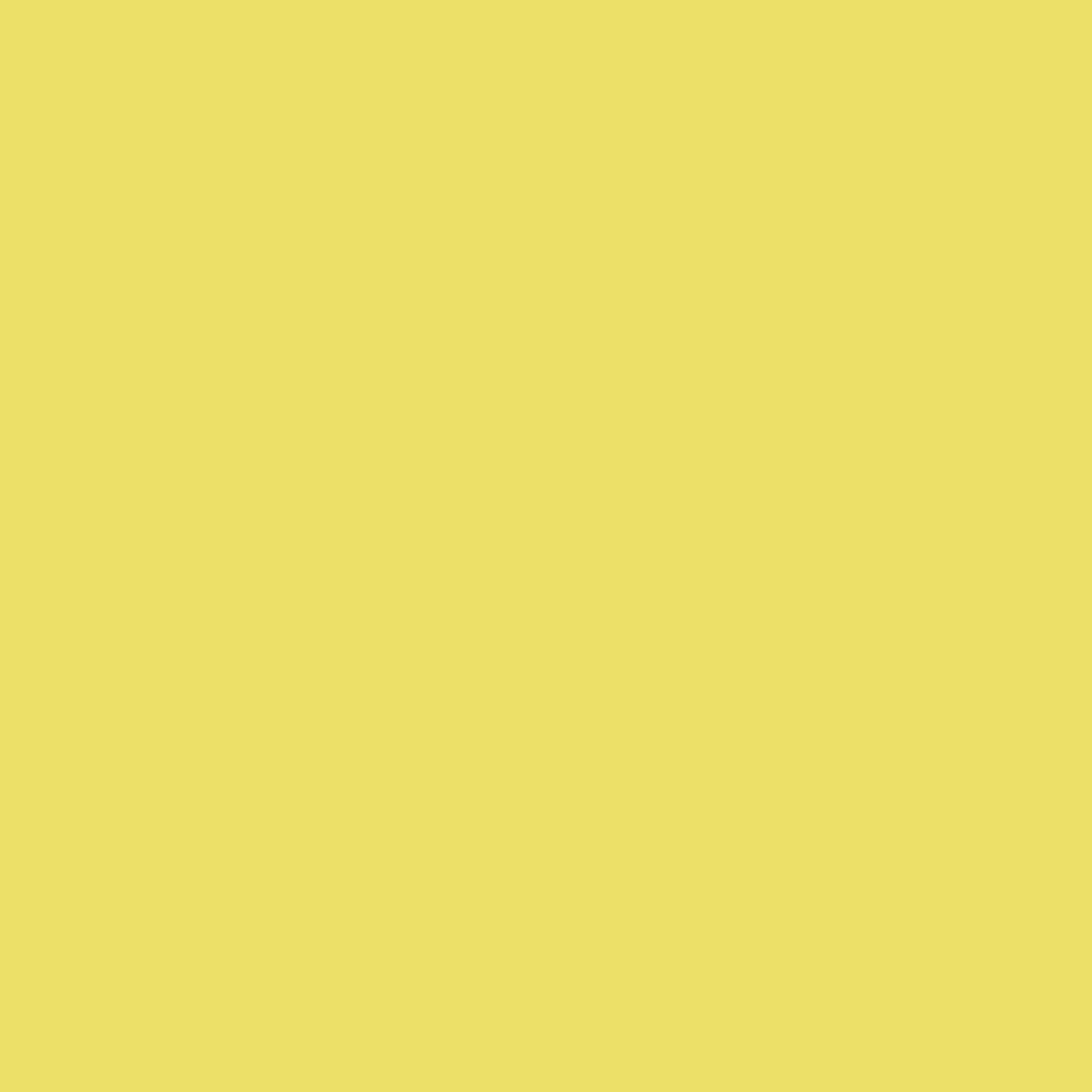 Little Greene's Indian Yellow™ No.335