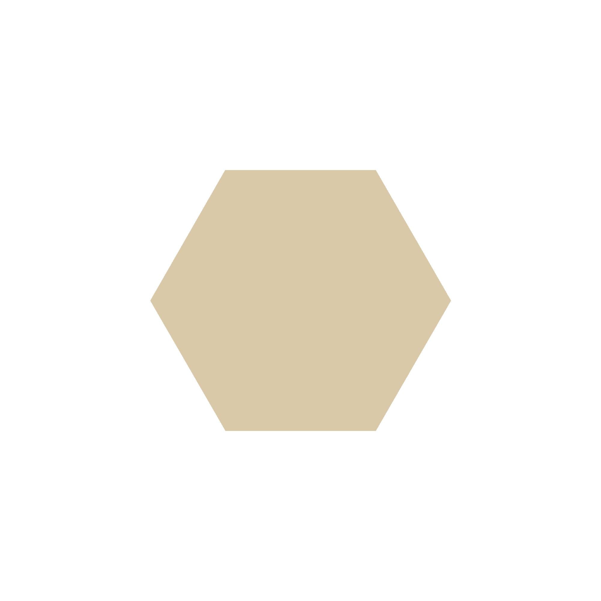 Equilateral Hexagon Tile in Ivory