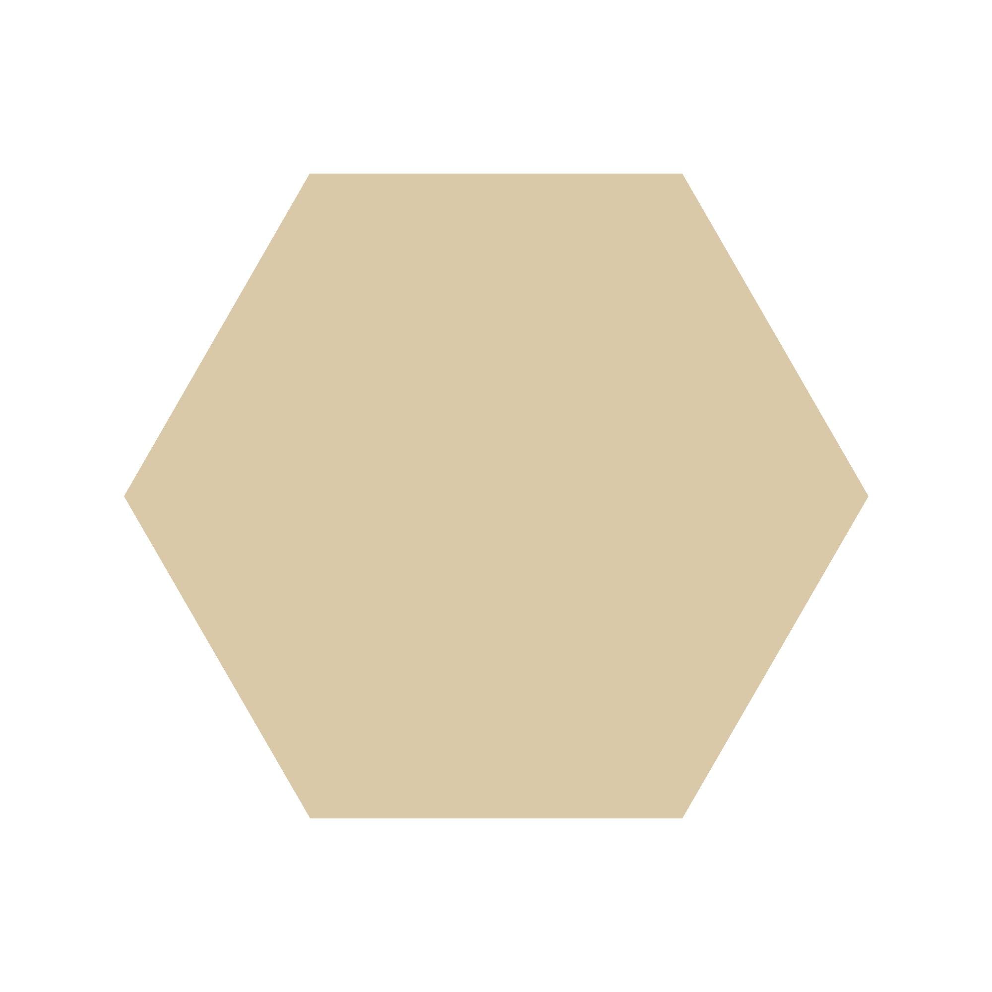 Equilateral Hexagon Tile in Ivory