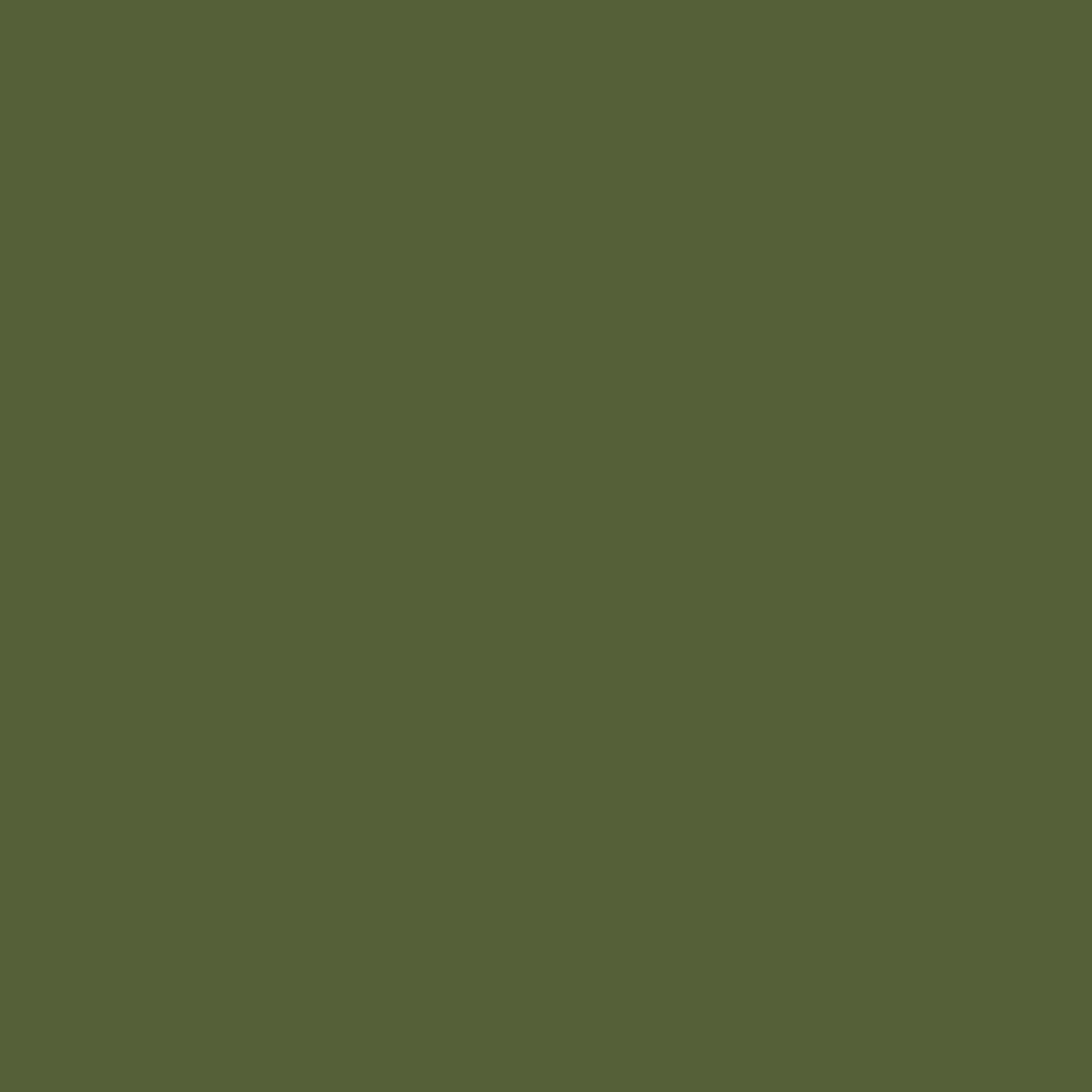 Little Greene's Jewel Beetle™ No.303