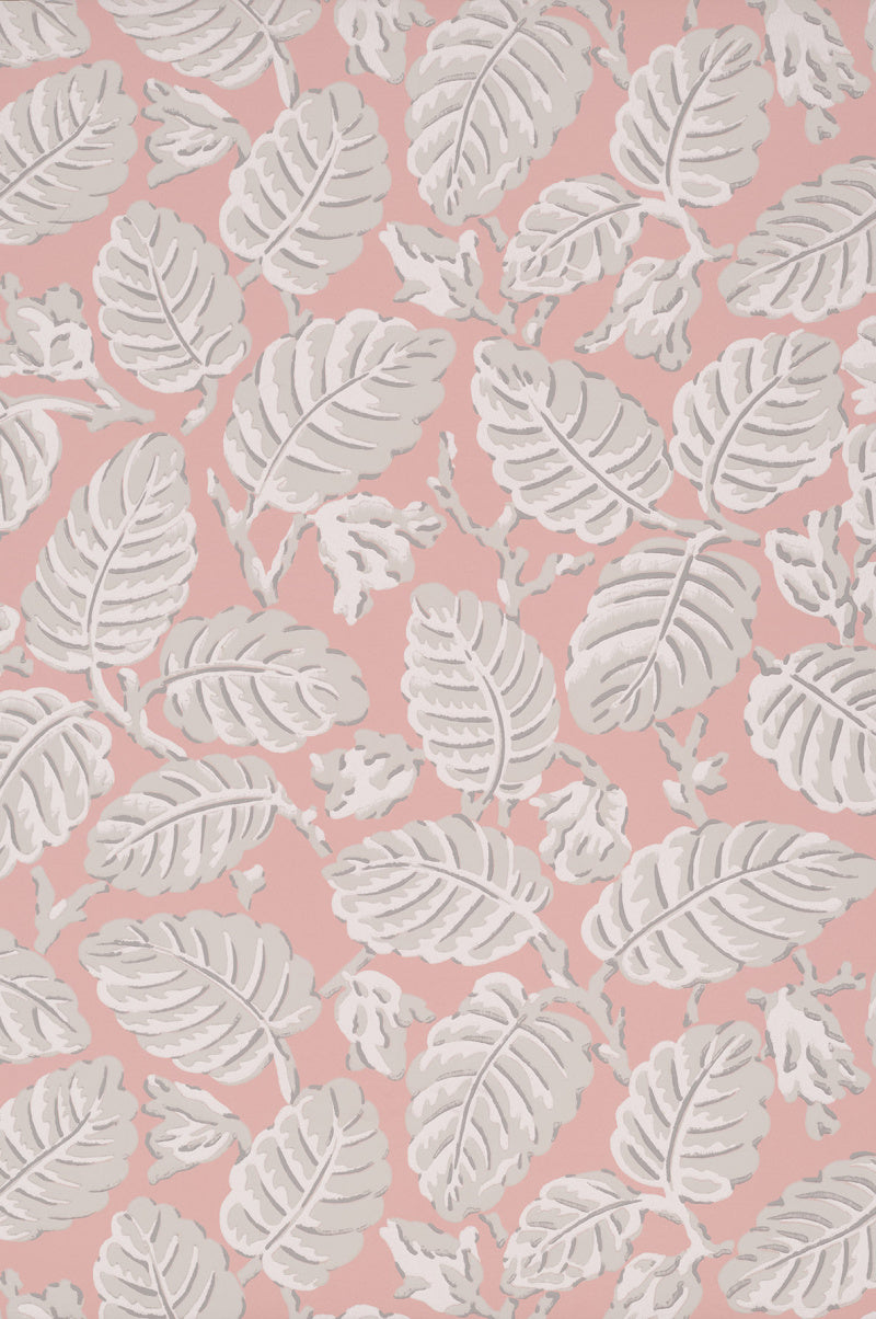 Little Greene's Beech Nut Wallpaper in Delicate