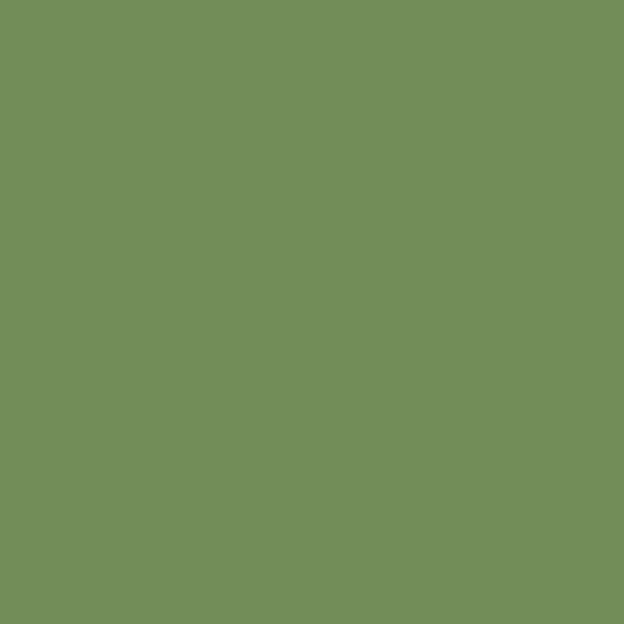 Little Greene's A Victorian dining room green made possible by the introduction of the bright yellow pigment, chrome yellow, in the early 19th century. This rich green paint shade is a part of our National Trust collection. Incorporate this period paint colour into your sheme alongside joyful yellows or calming neutrals. Or add a touch of dark green, with Puck, to bring the natural world indoors. Paint