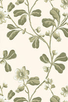 Little Greene's Broadwick Street Wallpaper in Garden