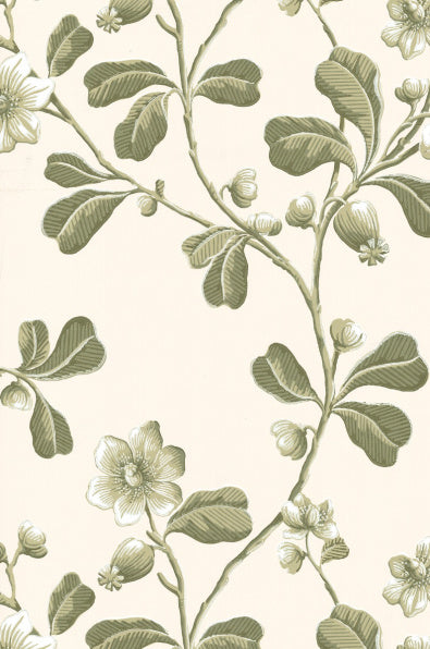Little Greene's Broadwick Street Wallpaper in Garden