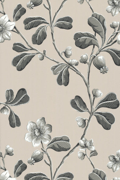 Little Greene's Broadwick Street Wallpaper in Mono