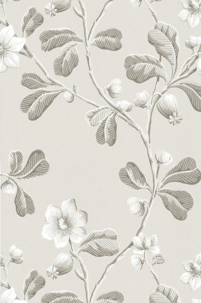 Little Greene's Broadwick Street Wallpaper in Pitch