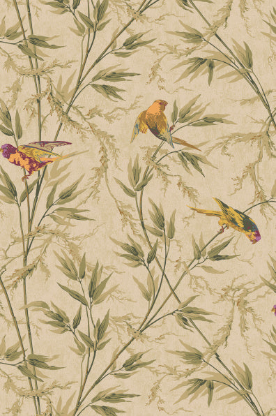 Little Greene's Great Ormond Street Wallpaper in Stable
