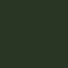 Little Greene's A verdant colour used to paint Victorian front doors and railings throughout the 19th century. This rich green shade pairs well with muted greens and neutrals, as well as with contrasting brights. Paint