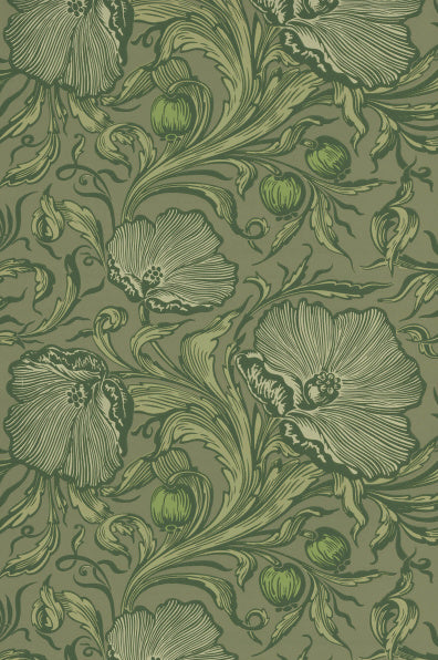 Little Greene's Poppy Trail Wallpaper in Sage Green