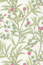 Little Greene's Bamboo Floral Wallpaper in Mischief