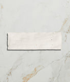 Ca'Pietra's Oasis Ceramic Tiles