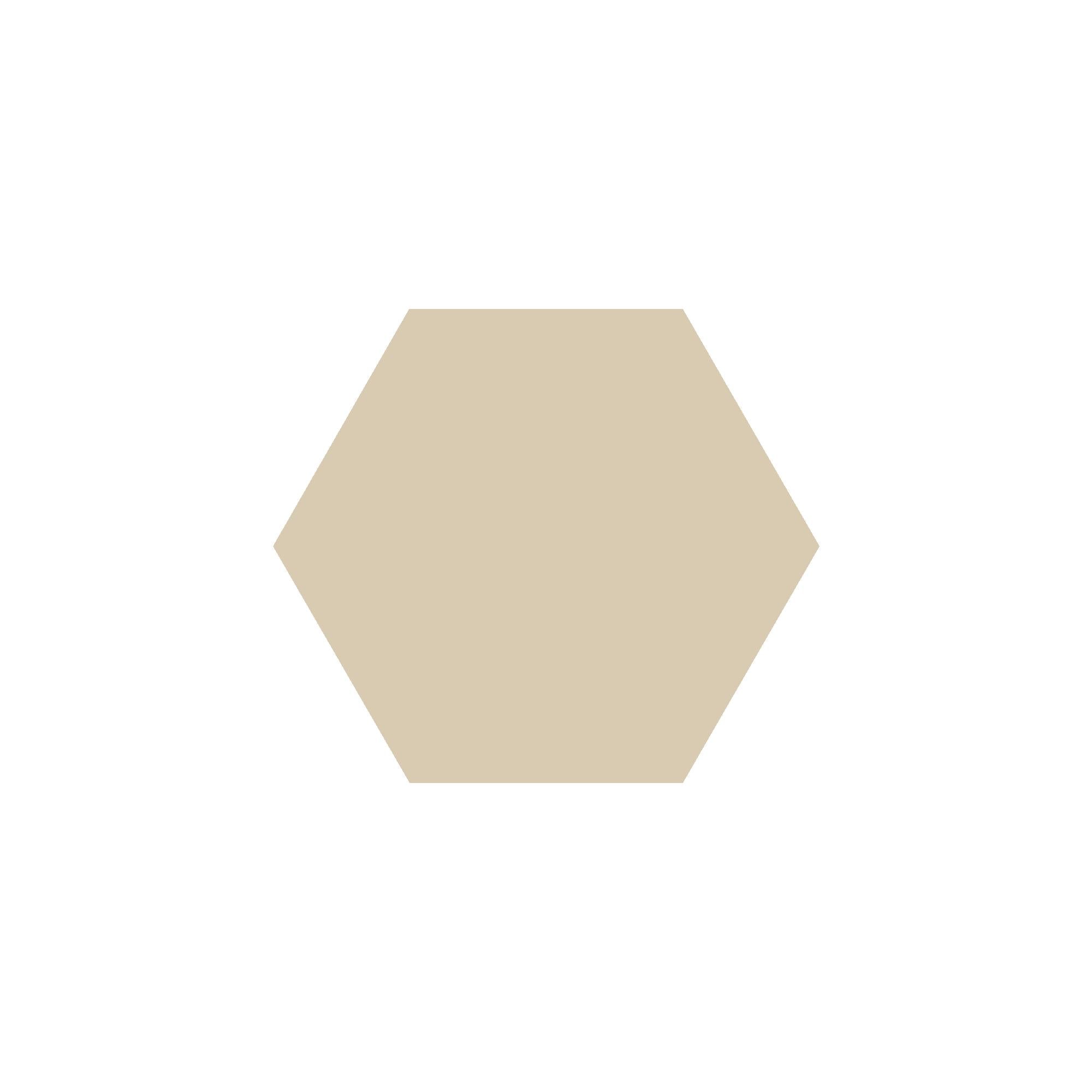 Equilateral Hexagon Tile in Ontario